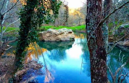 A casa da Maria - Foto 4