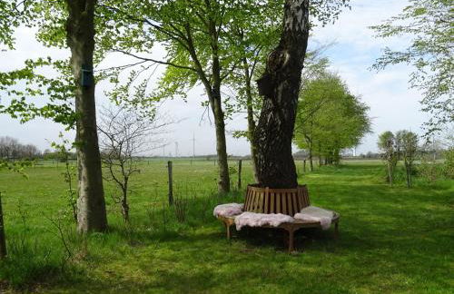 "Bi Oddi" - moderne FeWo mit Terrasse und Garten - Foto 12