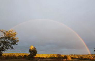 Apartman M&M Žminj - Foto 29