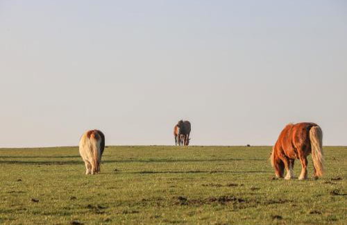 The Cottage - Foto 22