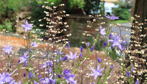 Maison Mille Fleurs - Foto 5, Garden