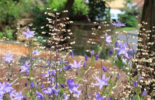 Maison Mille Fleurs - Foto 5