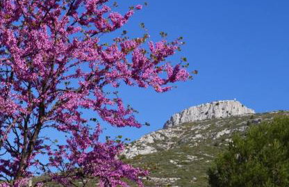 Le Guétali du Garlaban - Foto 1
