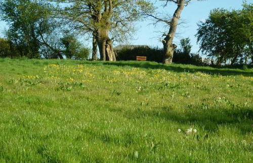 Glenview Lodge accommodation, Monmouthshire - Foto 10