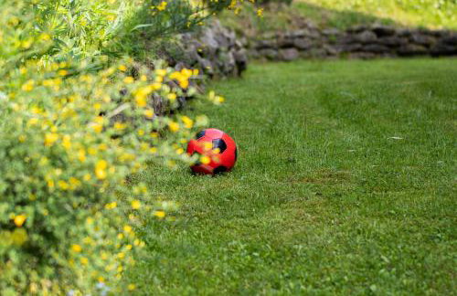 Sarnówka KDN - Foto 28