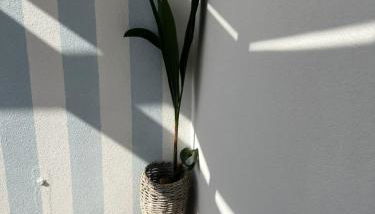 Avô Moreira Beach House - Foto 4