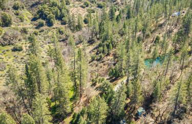 Your Spacious Escape: Creek, Pool, Sauna, Hot Tub - Foto 18