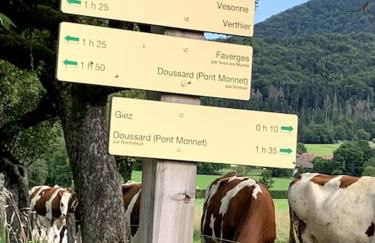 Petit cocon entre lac, golf et montagne, proche d'Annecy - Foto 37