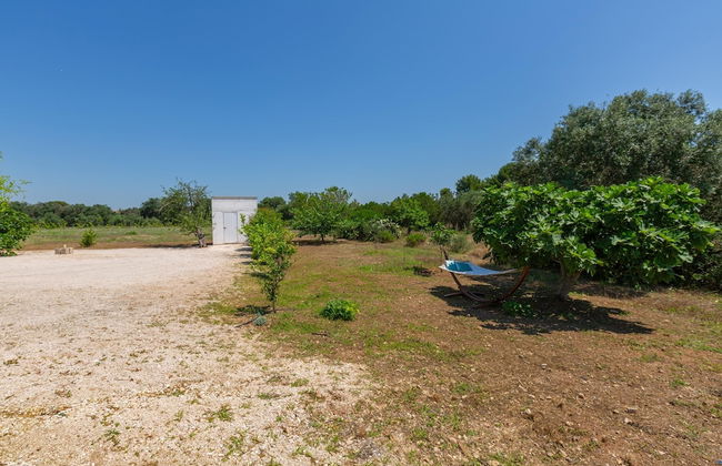 3554 Villa Truni by Perle di Puglia - Foto 23