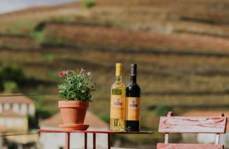 Casa do Salgueiral - Foto 46