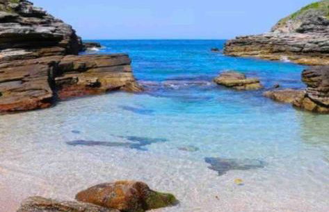 Casa de Praia - Búzios - Foto 8