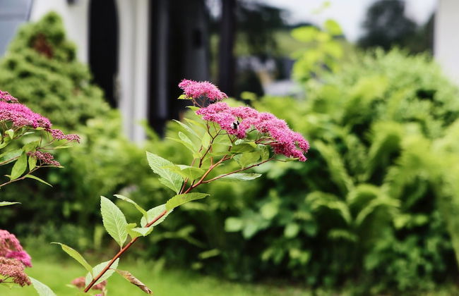 Ferienhaus Drebach - Foto 37