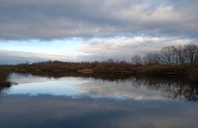 Peaceful Nature Escape in Meijel - Photo 59