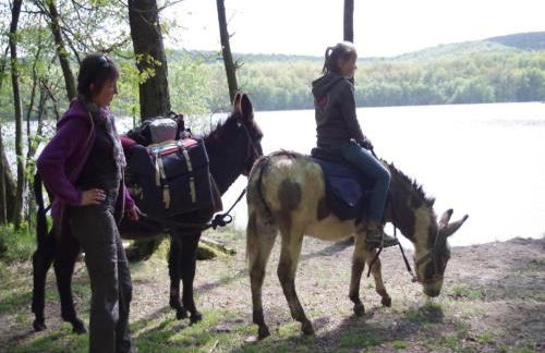 Holiday Home in Grand Est - Foto 10