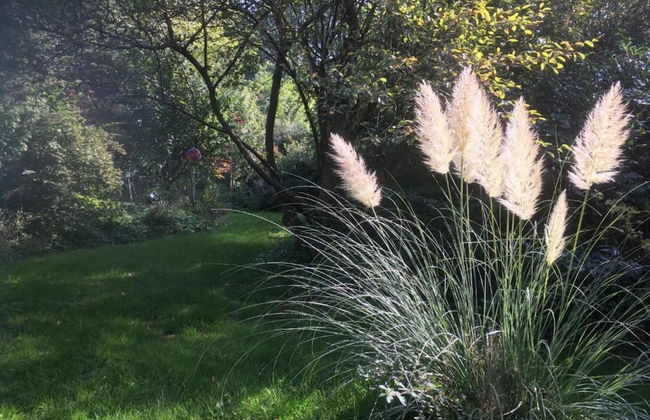 Detached Chalet with Terrace near Swimming Lake - Foto 27