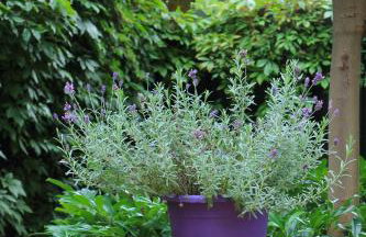 Apartament Bałtycki - Foto 20