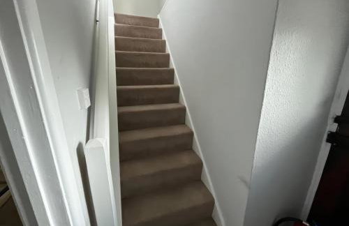 Little Ivy - Photo 16