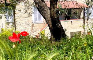 Microfattoria Lenta - Foto 24