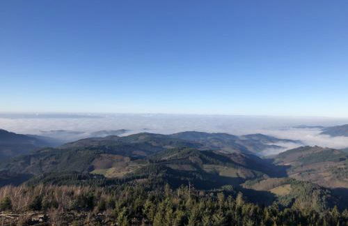 Ferienwohnungen Golla-lang - Foto 15