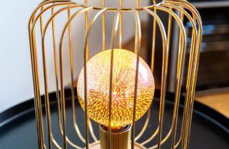 Doppelhaus- Villa Leipzig Schleußig , moderner Altbau Apartment Dachetage mit 2 Schlafzimmern und separatem Zusatzzimmer , Parkplatz - Balkon - Kamin - Eicheparkett - Arbeitsplatz - Foto 9