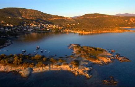 Alexander's - Foto 36