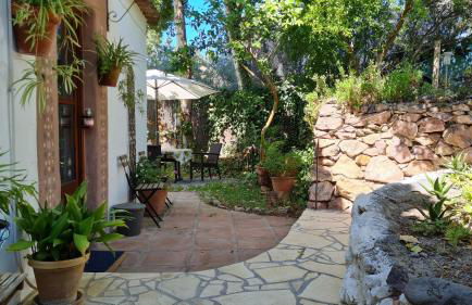 Tropical Studio - Foto 33