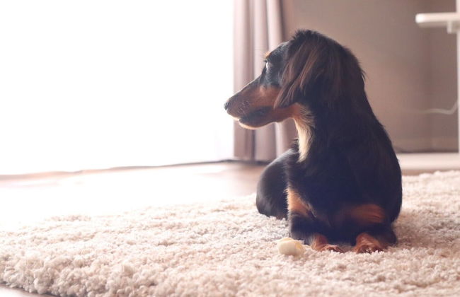 decopinhouse - Foto 71