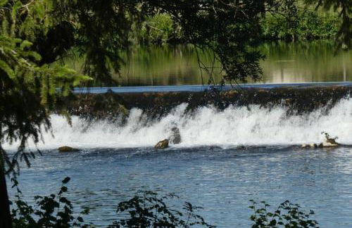 Gîte Château de Montboulon 4* Spa+piscine 14pers. - Foto 44