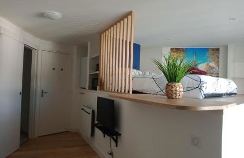 Studio atypique et chaleureux coeur d'Ancenis - Foto 1