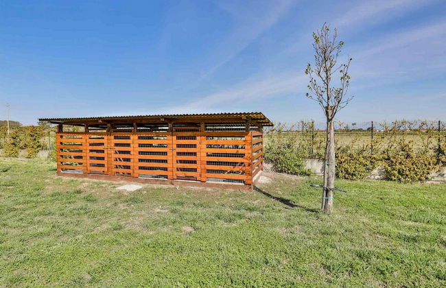 I Giardini Dell Olimpo - Afrodite - Foto 16