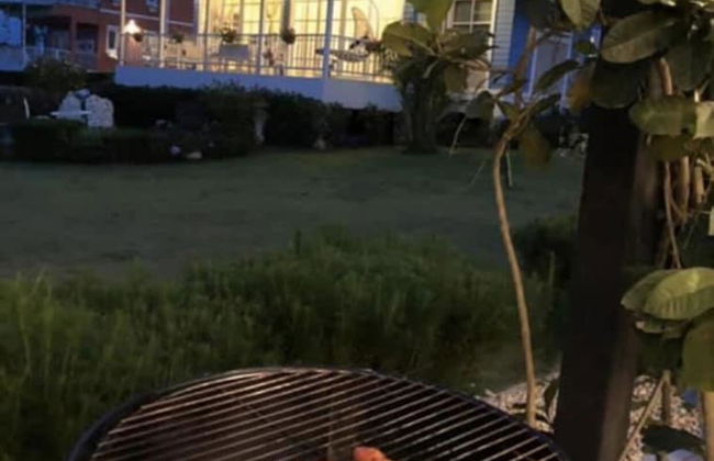 Misty English Cottage - Foto 55