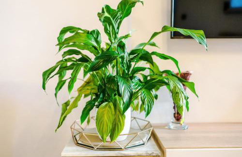 Driveway Stylish 3Bedroom Home in Middleton - Foto 11