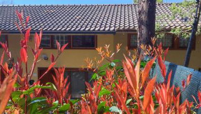 Profumo di Bosco - Photo 5