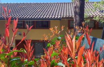 Profumo di Bosco - Photo 5