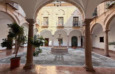 Exclusivo Apartamento Palacete Marqués de la Vega Centro Histórico Parking - Foto 27