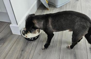 Ruth's Refresh Shropshire Country Retreat with Private Hot Tub & Stunning Views - Foto 21