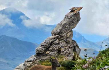 Arêches, 4 pers, télésiège à 5 mn à pied, grande terrasse en RDJ - Foto 23