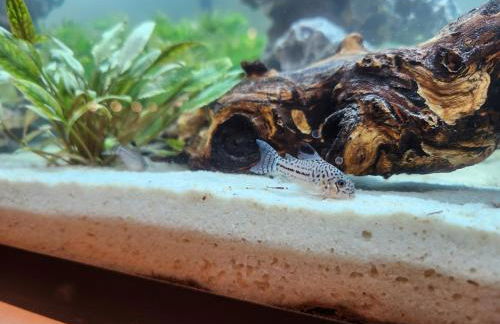 Bachhaus Marktredwitz Haupthaus - Foto 7