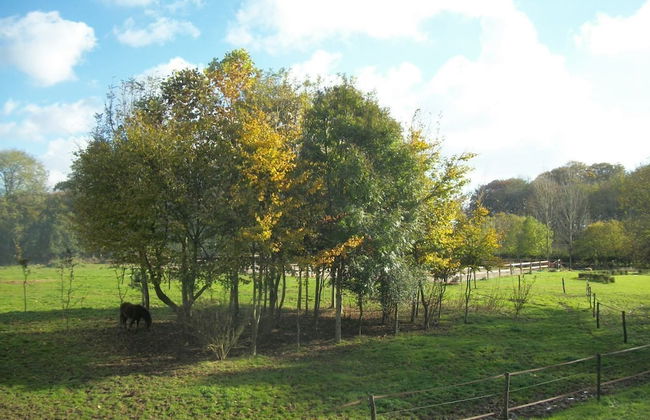 Le Manoir de Briquedalles - Foto 18