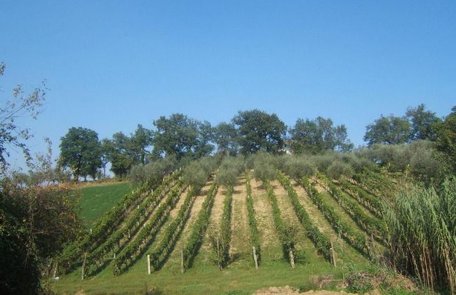 Agriturismo Il Vecchio Carro - Foto 45