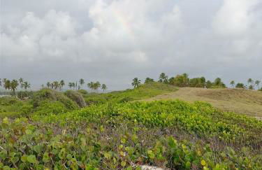 Loft 1 - Casa Aratu Guaiú Barra de Mamanguape - Photo 30