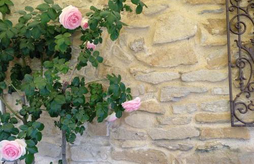 Mazet Magnan, Rustic Luxury in Provence - Foto 16