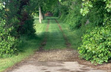 Kleines Ferienappartement in Erfurt-Schmira - Foto 16
