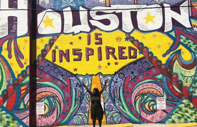 Tour panoramico di Houston - Foto 1