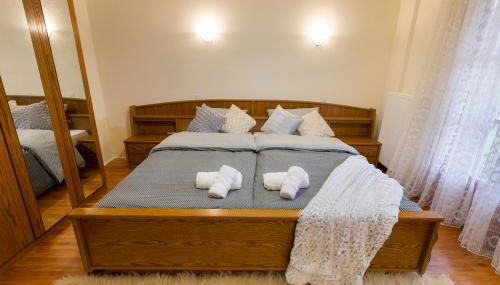 ΜΕΤΕORΑ- KALAMBAKA- TRIKALA-Villa Toscana - Foto 5