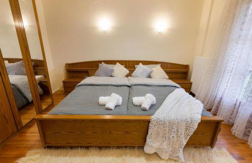 ΜΕΤΕORΑ- KALAMBAKA- TRIKALA-Villa Toscana - Foto 5