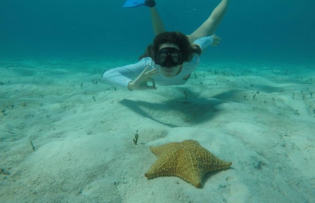 Catalina Island und Schnorcheln an The Wall - Katamaran-Tour - Foto 1