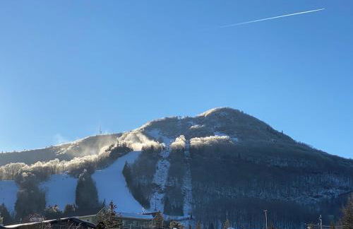 Hunter Mountain Sanctuary - Foto 38