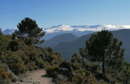 Bellísima cueva acogedora "Casa Olivia" - Foto 54
