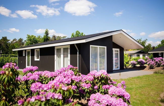 Chalet in Netherlands by Scenic Pond - Photo 1